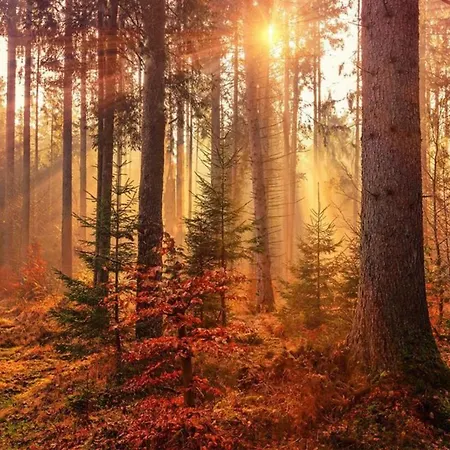 Forest Feelings - Op 5 Sterren Park Met Heerlijke Prive Tuin アパート